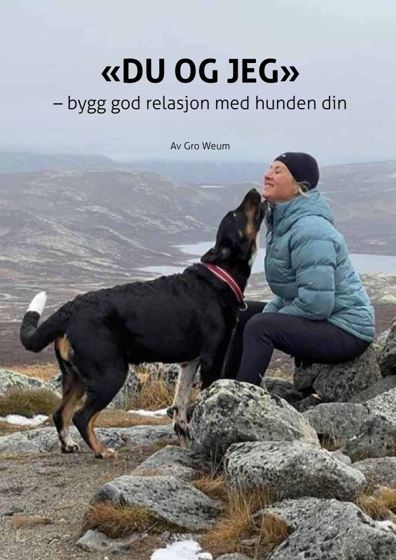 "Du og Jeg" - Gro Weum